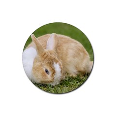 Beautiful Blue Eyed Bunny On Green Grass Rubber Round Coaster (4 Pack)  by Ucco