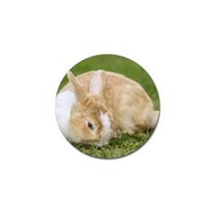 Beautiful Blue Eyed Bunny On Green Grass Golf Ball Marker