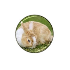 Beautiful Blue Eyed Bunny On Green Grass Hat Clip Ball Marker (4 Pack)