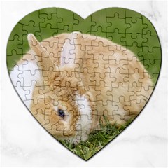 Beautiful Blue Eyed Bunny On Green Grass Jigsaw Puzzle (heart) by Ucco