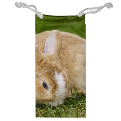 Beautiful Blue Eyed Bunny On Green Grass Jewelry Bag