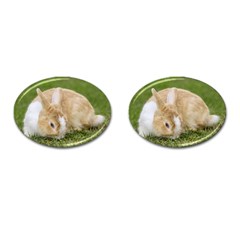 Beautiful Blue Eyed Bunny On Green Grass Cufflinks (oval) by Ucco