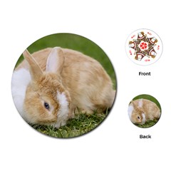 Beautiful Blue Eyed Bunny On Green Grass Playing Cards (round)  by Ucco