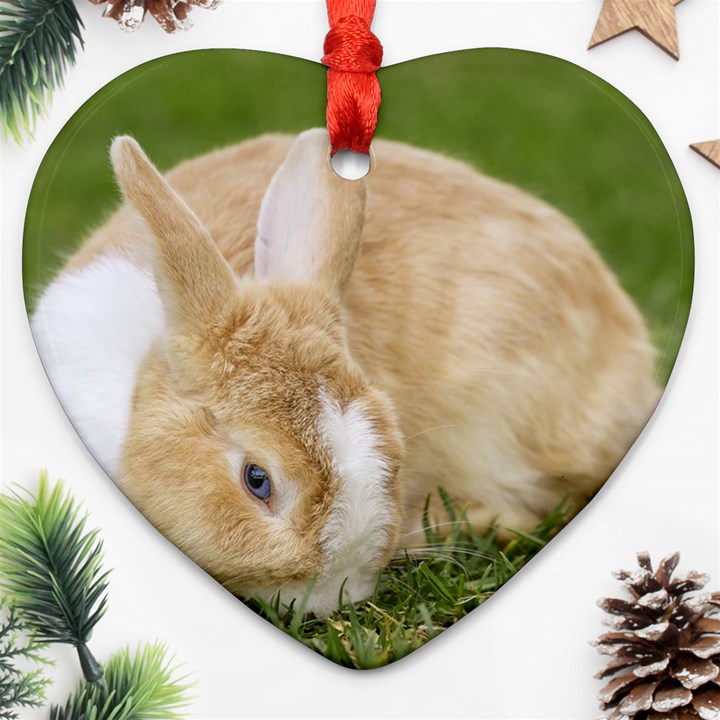 Beautiful Blue Eyed Bunny On Green Grass Heart Ornament (Two Sides)