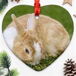 Beautiful Blue Eyed Bunny On Green Grass Heart Ornament (Two Sides) Back