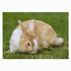 Beautiful Blue Eyed Bunny On Green Grass Large Glasses Cloth (2-side) by Ucco