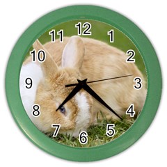 Beautiful Blue Eyed Bunny On Green Grass Color Wall Clocks by Ucco