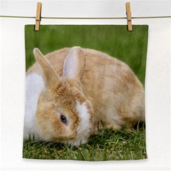 Beautiful Blue Eyed Bunny On Green Grass Face Towel by Ucco