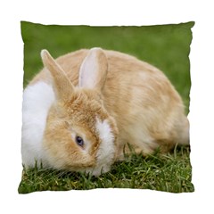 Beautiful Blue Eyed Bunny On Green Grass Standard Cushion Case (one Side) by Ucco