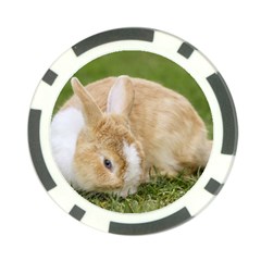 Beautiful Blue Eyed Bunny On Green Grass Poker Chip Card Guard (10 Pack) by Ucco