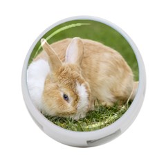 Beautiful Blue Eyed Bunny On Green Grass 4-port Usb Hub (two Sides) 