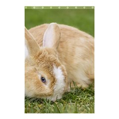 Beautiful Blue Eyed Bunny On Green Grass Shower Curtain 48  X 72  (small) 