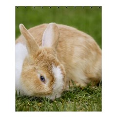 Beautiful Blue Eyed Bunny On Green Grass Shower Curtain 60  X 72  (medium)  by Ucco