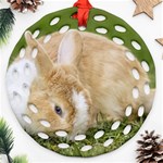 Beautiful Blue Eyed Bunny On Green Grass Round Filigree Ornament (Two Sides) Front