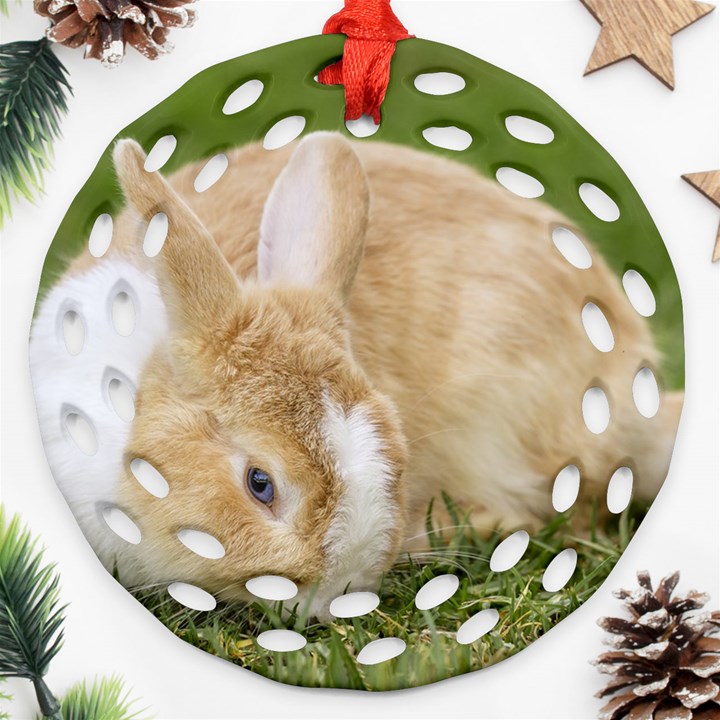 Beautiful Blue Eyed Bunny On Green Grass Round Filigree Ornament (Two Sides)