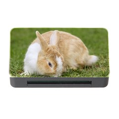 Beautiful Blue Eyed Bunny On Green Grass Memory Card Reader With Cf