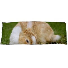 Beautiful Blue Eyed Bunny On Green Grass Body Pillow Case (dakimakura)