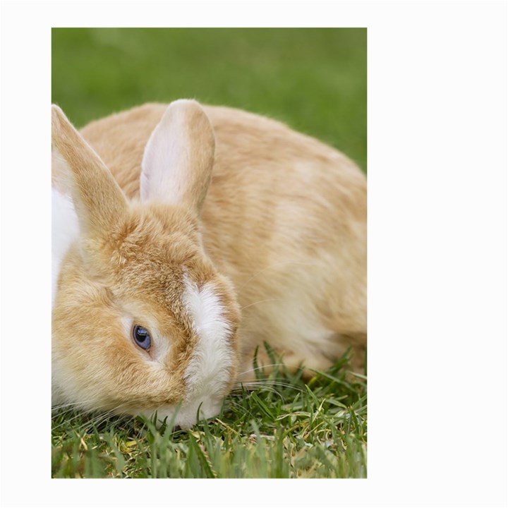 Beautiful Blue Eyed Bunny On Green Grass Large Garden Flag (Two Sides)