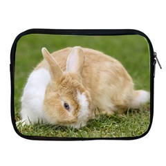 Beautiful Blue Eyed Bunny On Green Grass Apple Ipad 2/3/4 Zipper Cases by Ucco