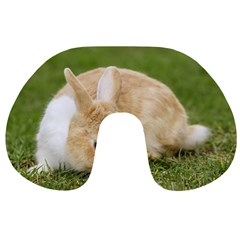 Beautiful Blue Eyed Bunny On Green Grass Travel Neck Pillows by Ucco