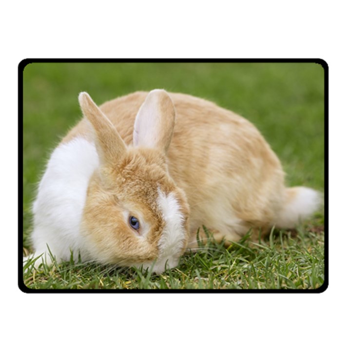 Beautiful Blue Eyed Bunny On Green Grass Double Sided Fleece Blanket (Small) 