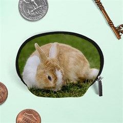 Beautiful Blue Eyed Bunny On Green Grass Accessory Pouches (small) 