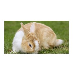 Beautiful Blue Eyed Bunny On Green Grass Satin Wrap