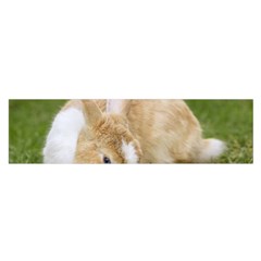 Beautiful Blue Eyed Bunny On Green Grass Satin Scarf (oblong)