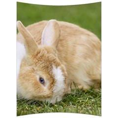 Beautiful Blue Eyed Bunny On Green Grass Back Support Cushion