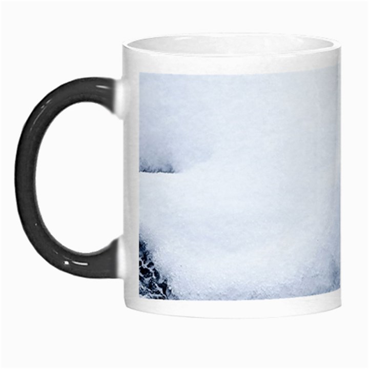 Ice, Snow And Moving Water Morph Mugs