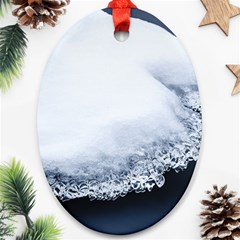 Ice, Snow And Moving Water Oval Ornament (two Sides)