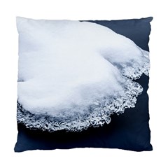 Ice, Snow And Moving Water Standard Cushion Case (two Sides)