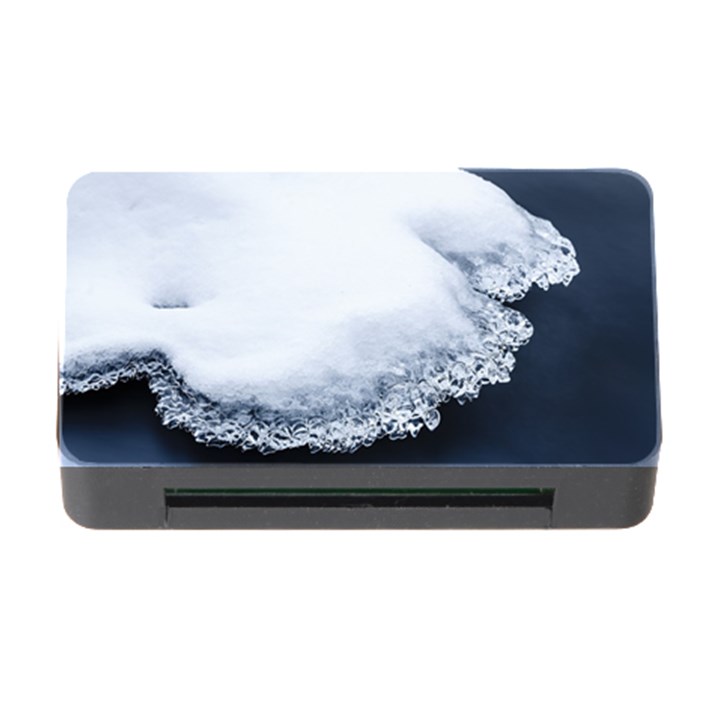 Ice, Snow And Moving Water Memory Card Reader with CF