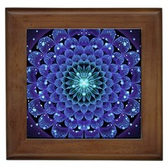 Accordant Electric Blue Fractal Flower Mandala Framed Tiles by jayaprime