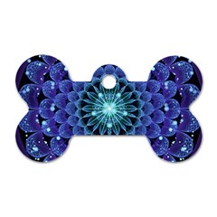 Accordant Electric Blue Fractal Flower Mandala Dog Tag Bone (one Side) by jayaprime