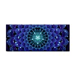 Accordant Electric Blue Fractal Flower Mandala Cosmetic Storage Cases Front