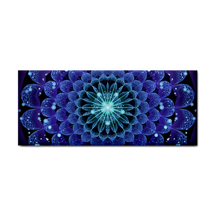 Accordant Electric Blue Fractal Flower Mandala Cosmetic Storage Cases