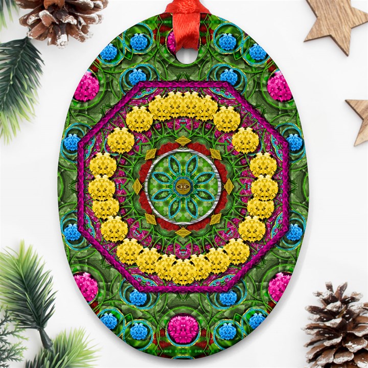 Bohemian Chic In Fantasy Style Oval Ornament (Two Sides)