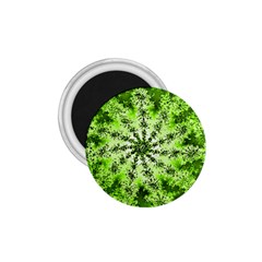 Lime Green Starburst Fractal 1 75  Magnets by allthingseveryone