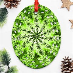 Lime Green Starburst Fractal Ornament (oval Filigree)