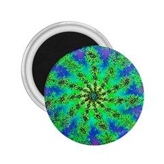 Green Psychedelic Starburst Fractal 2 25  Magnets by allthingseveryone