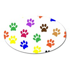 Pawprints Paw Prints Paw Animal Oval Magnet by Celenk