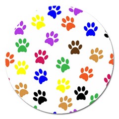 Pawprints Paw Prints Paw Animal Magnet 5  (round) by Celenk