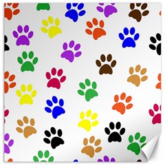 Pawprints Paw Prints Paw Animal Canvas 12  X 12   by Celenk