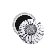 Sunflower Flower Line Art Summer 1 75  Magnets by Celenk