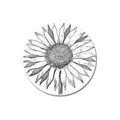 Sunflower Flower Line Art Summer Magnet 3  (round) by Celenk