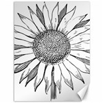 Sunflower Flower Line Art Summer Canvas 36  x 48   35.26 x46.15  Canvas - 1