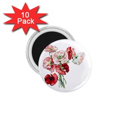 Flowers Poppies Poppy Vintage 1 75  Magnets (10 Pack)  by Celenk