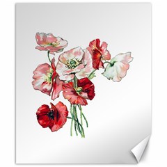 Flowers Poppies Poppy Vintage Canvas 8  X 10  by Celenk