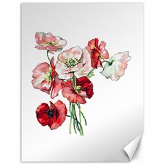 Flowers Poppies Poppy Vintage Canvas 12  X 16   by Celenk